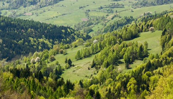 Vista Panoramica Del Paesaggio Montuoso Con Erba Verde Alberi — Foto Stock