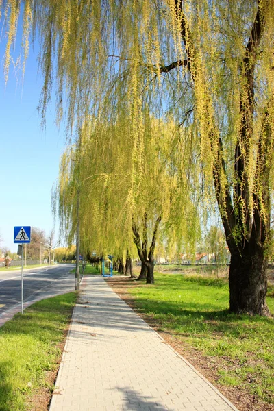 Krásný Výhled Park — Stock fotografie