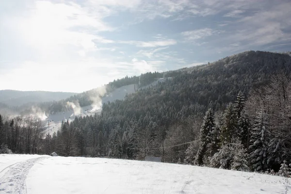 Landschaft Mit Schneebedeckten Hügeln Und Bäumen Unter Bewölktem Himmel — Stockfoto