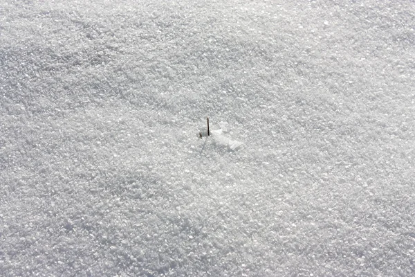 Снежная Поверхность Ярком Солнечном Свете — стоковое фото