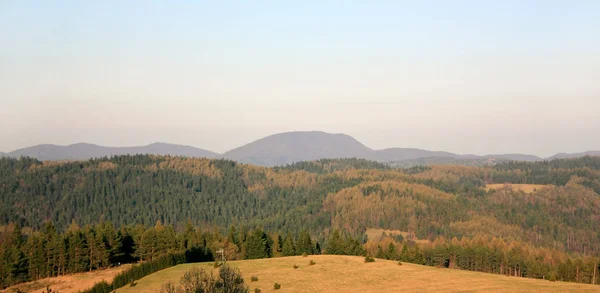 Pohled Zelenou Hornatou Krajinu Večerním Slunci — Stock fotografie