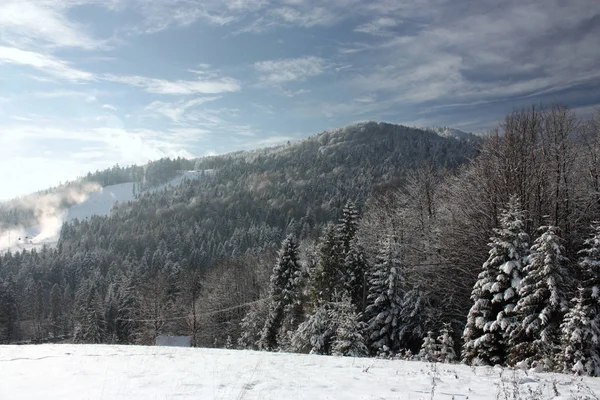 Landschaft Mit Schneebedeckten Hügeln Und Bäumen Unter Bewölktem Himmel — Stockfoto