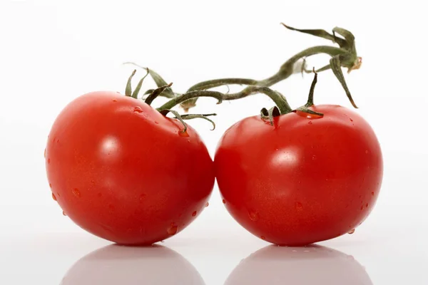 Vigne Avec Deux Tomates Mûres Sur Fond Blanc — Photo