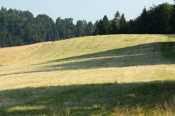 Schilderachtig Uitzicht Groene Berglandschap — Stockfoto