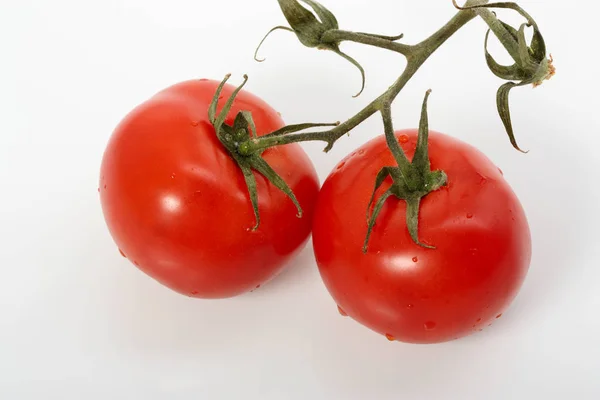Videira Com Dois Tomates Maduros Sobre Fundo Branco — Fotografia de Stock