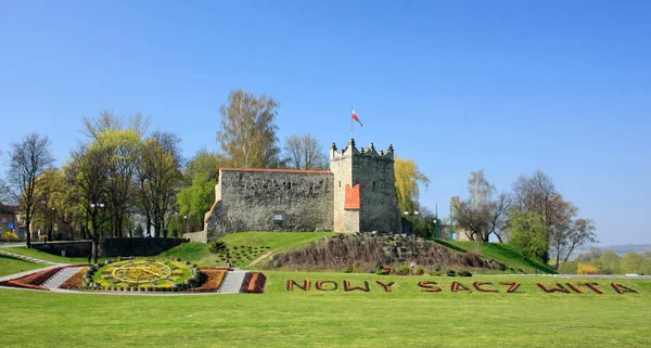 Château Royal Avec Horloge Florale Photo De Stock