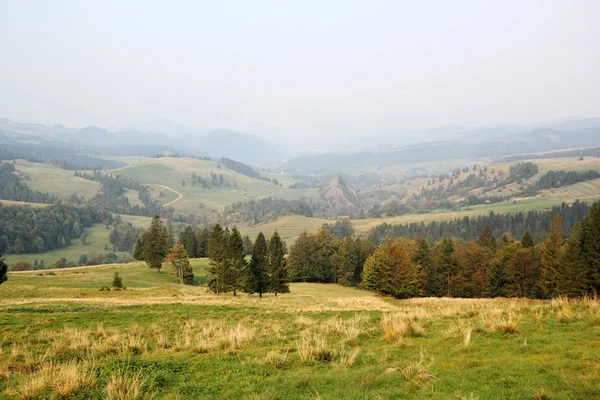 Malerischer Blick Auf Grüne Berglandschaft Mit Büschen Und Bäumen — Stockfoto