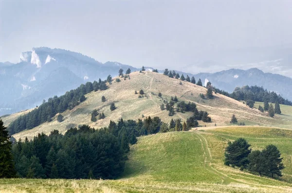Vista Panoramica Del Verde Paesaggio Montuoso Con Cespugli Alberi — Foto Stock