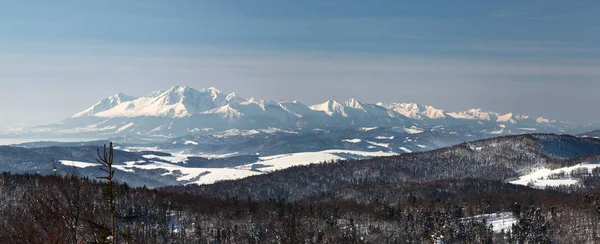 森と青空と雪に覆われた山岳風景の眺望 — ストック写真