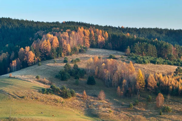 Beskids Mountains Autumn Jaworzyna Range Piwniczna Zdroj Town Poland Vue — Photo