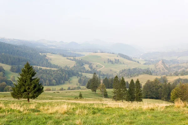 Vista Panoramica Del Verde Paesaggio Montuoso Con Cespugli Alberi — Foto Stock