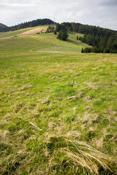 Vue Panoramique Sur Paysage Montagneux Verdoyant Avec Des Buissons Des — Photo