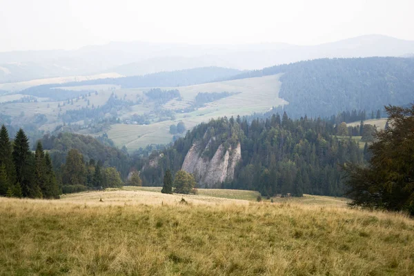 Vista Panoramica Del Verde Paesaggio Montuoso Con Cespugli Alberi — Foto Stock