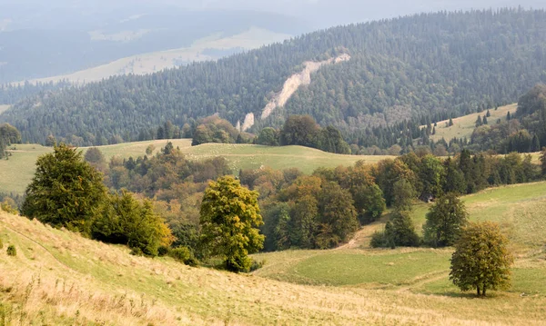 Malerischer Blick Auf Grüne Berglandschaft Mit Büschen Und Bäumen — Stockfoto