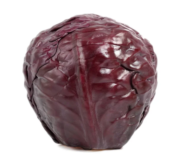 红色紫色卷心菜 隔离在白色背景上 — 图库照片