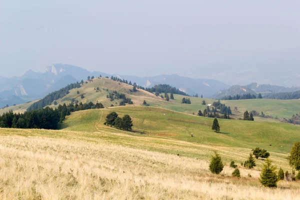 Malerischer Blick Auf Grüne Berglandschaft Mit Büschen Und Bäumen — Stockfoto