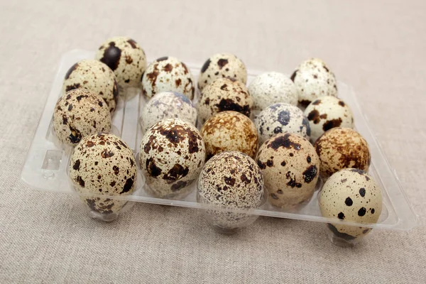 Quail Eggs Transparent Plastic Tray — Stock Photo, Image