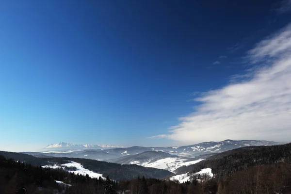 Malowniczy Widok Śnieżny Krajobraz Górzysty Drewna Niebieski Niebo — Zdjęcie stockowe