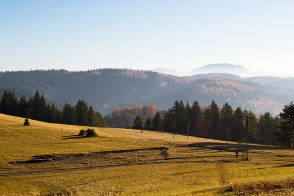 Beschleppt Berge Herbst Von Jaworzyna Bereich Der Nähe Piwniczna Zdroj — Stockfoto