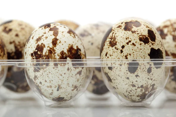 quail eggs in transparent plastic tray