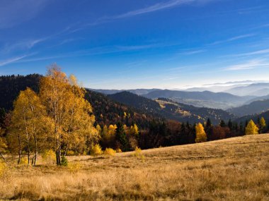 Beskids Mountains in Autumn from Jaworzyna Range nearby Piwniczna-Zdroj town, Poland. View to the southeast. clipart