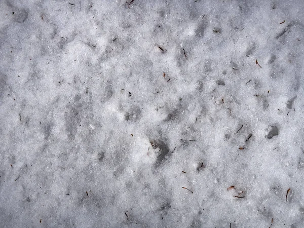 Таяние Снежного Фона Вблизи — стоковое фото
