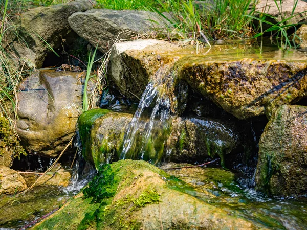 Gartenwasserfall Szczawnica Polen — Stockfoto