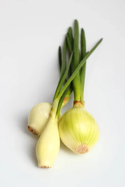 Spring Onions White Background — Stock Photo, Image