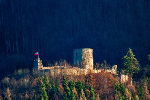 Castle Village Rytro Poland — Stock Photo, Image