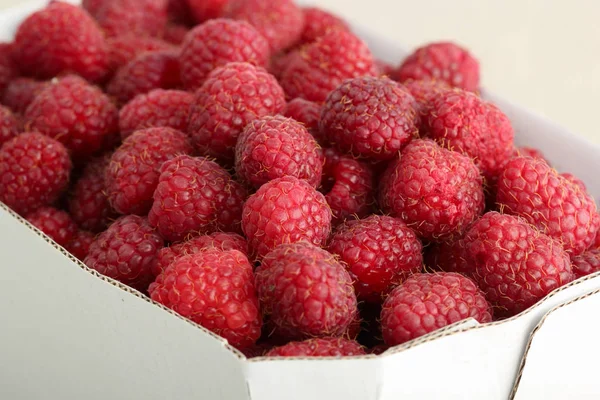 Fresh Picked Raspberries Cardboard Crate — Stock Photo, Image