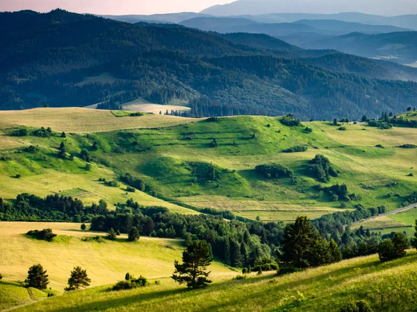 Pieniny Mountains Verão Vista Wysoki Wierch Para Spis Magura High — Fotografia de Stock