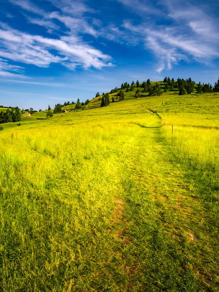 Mont Wysoki Wierch Slachtovky Été Montagnes Pieniny Frontière Polono Slovaque — Photo