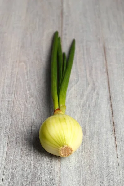 Spring Onion Wooden Background — Stock Photo, Image