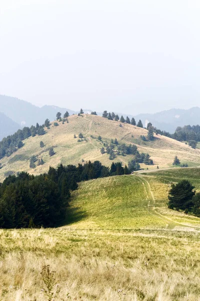 Schilderachtig Uitzicht Groene Berglandschap — Stockfoto