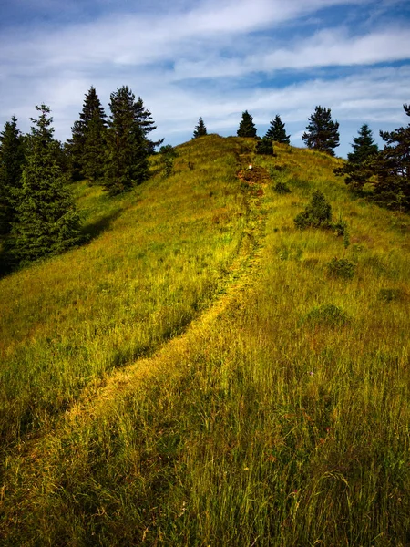 Wysoki Wierch Slachtovsky Mont Été Montagnes Pieniny — Photo