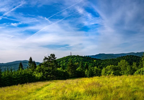 Góry Pieniny Latem Góra Jarmuta — Zdjęcie stockowe