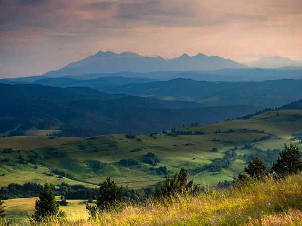 Pieniny Mountains Verão Pôr Sol Vista Wysoki Wierch Direção High — Fotografia de Stock