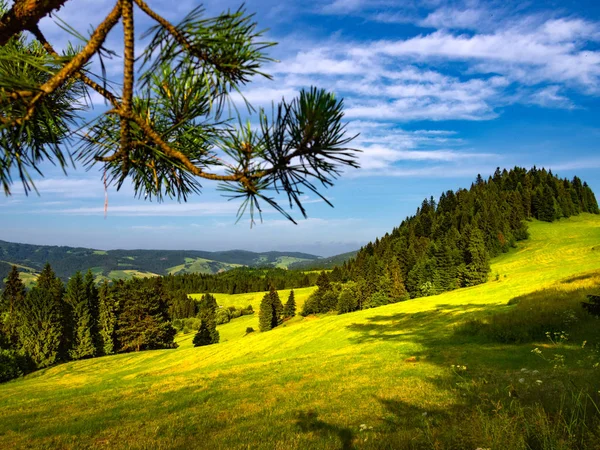夏天的皮尼尼山脉 从贾姆塔山附近的景色 — 图库照片