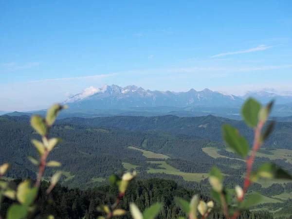 Pieniny 폴란드에서에서 Tatras의 파노라마 — 스톡 사진