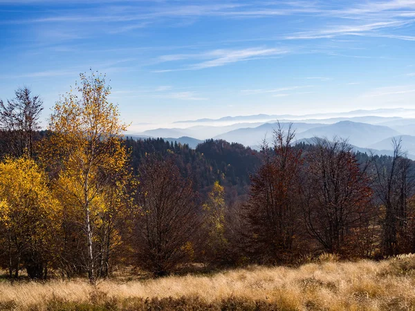 Beskyd Podzim Jaworzyna Oblasti Okolí Města Piwniczna Zdroj Polsko Pohled — Stock fotografie