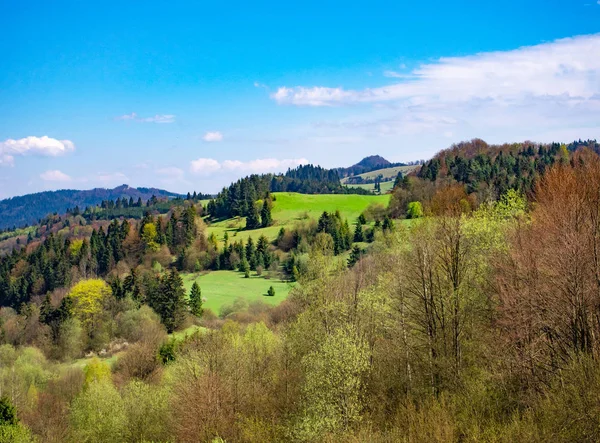 Pieniny Berge Frühling Blick Vom Berg Szafranowka Der Nähe Der — Stockfoto
