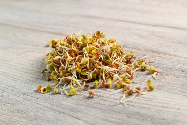 Radish Sprouts Wooden Table — Stock Photo, Image