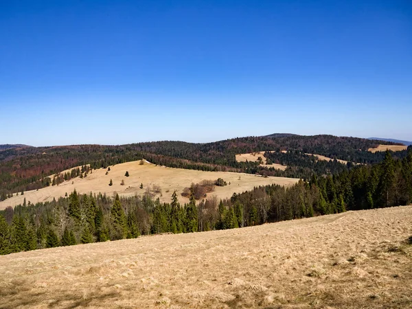 Veduta Beskid Sadecki Pieniny — Foto Stock