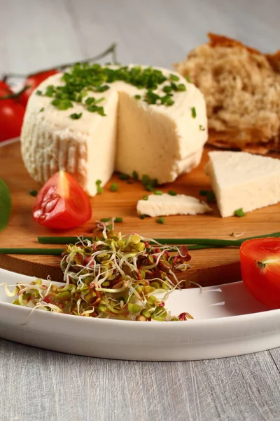 奶酪和蔬菜 开胃菜系列 — 图库照片