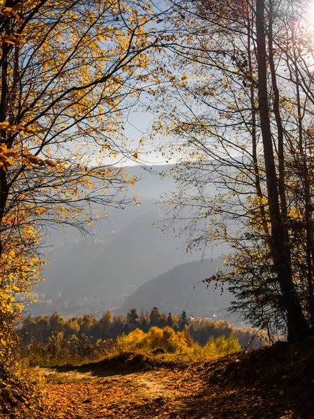 Trail Covered Fallen Leaves Beskids Mountains Autumn Nearby Piwniczna Zdroj — Zdjęcie stockowe