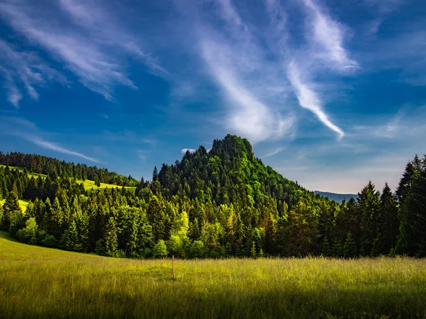 Rabsztyn Sommer Pieniny Berge Polen — Stockfoto