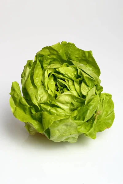 Smör Sallad Vit Bakgrund — Stockfoto