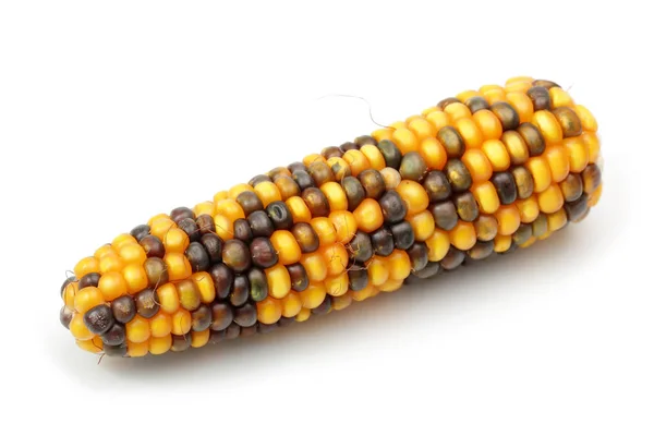 Плямиста Кукурудза Ізольована Білому Тлі — стокове фото