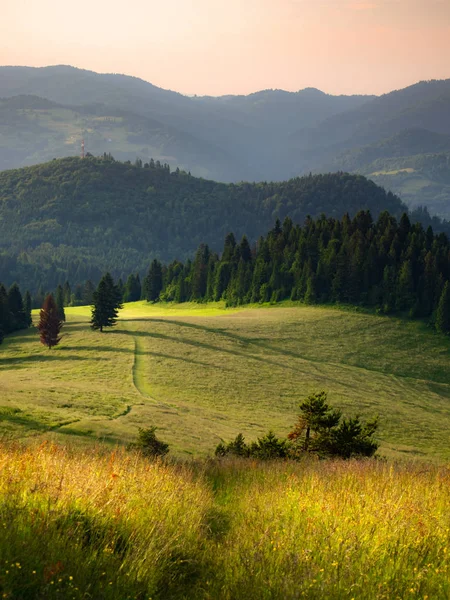 在夏季的皮内尼山在日落 从怀索基 维奇前往贾穆塔山的景色 — 图库照片