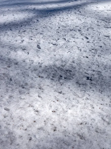 Таяние Снега Весной Горах — стоковое фото